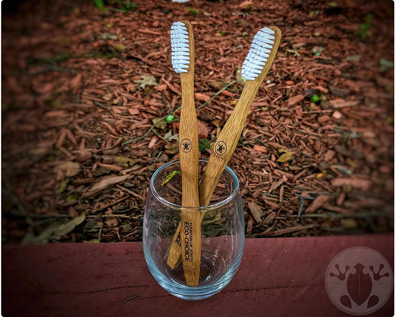 Biodegradable Bamboo Toothbrushes